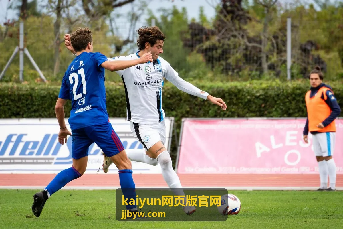 kaiyun网页版官网首页正在展示内容导航卡片