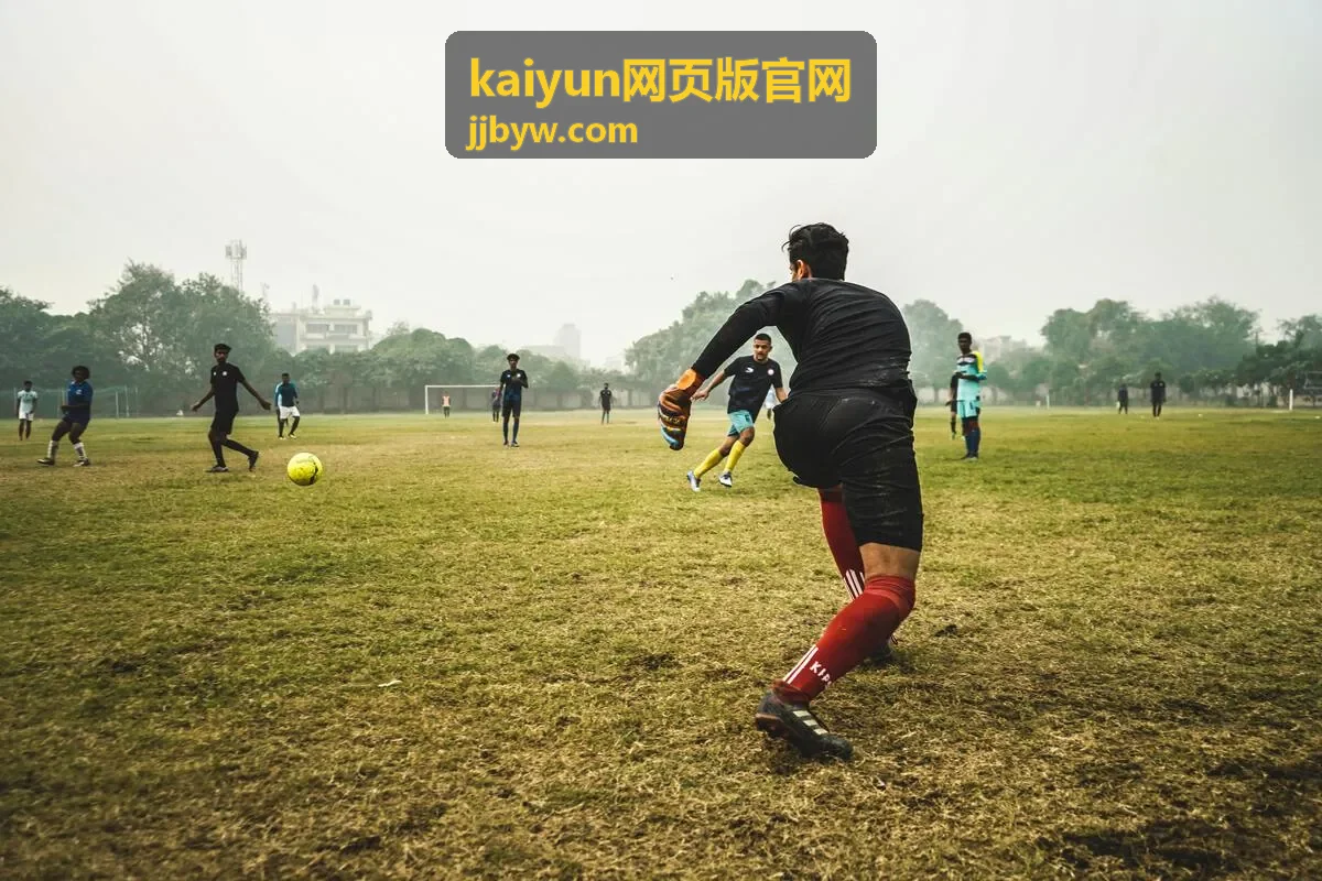 kaiyun网页版官网最新资讯展示封面
